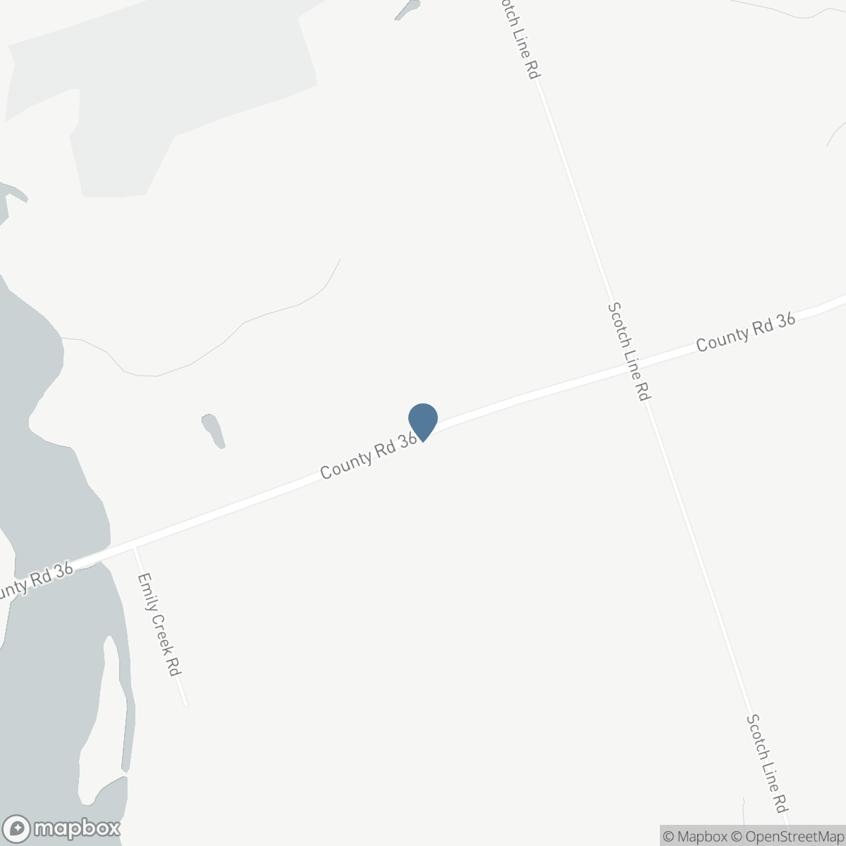 2291 COUNTY RD 36 N, Kawartha Lakes, Ontario K0M 1L0